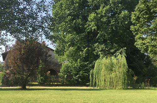 Veduta del parco privato con, in fondo, Barchessa Rossetti